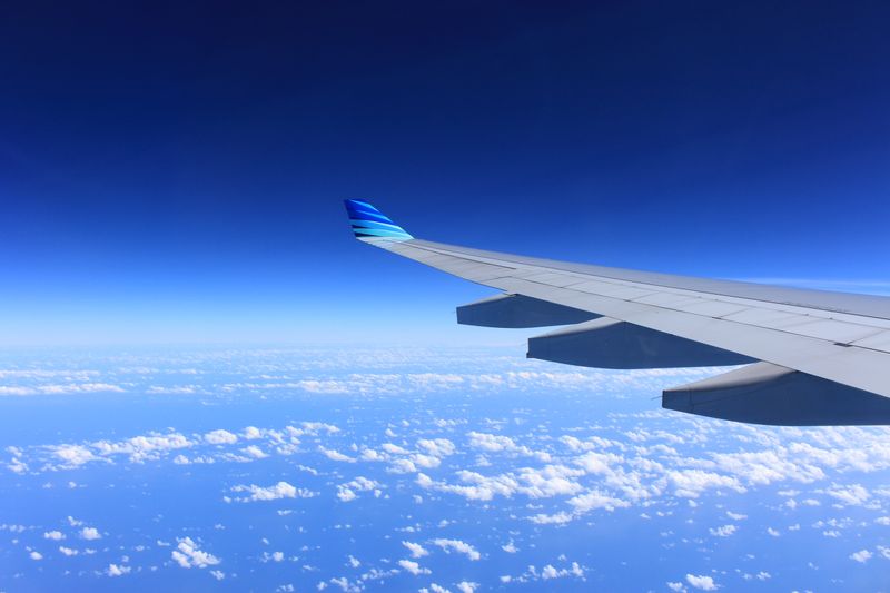 Commercial pilot training